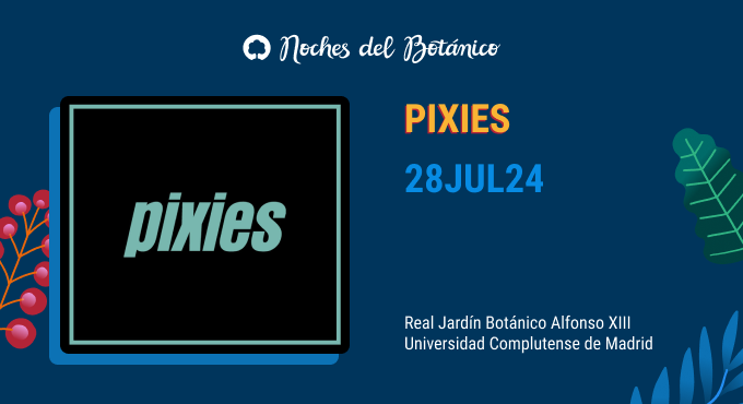 Cartel del espectáculo PIXIES