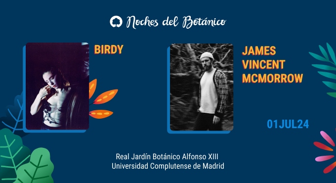 Cartel del espectáculo BIRDY / JAMES VINCENT MCMORROW