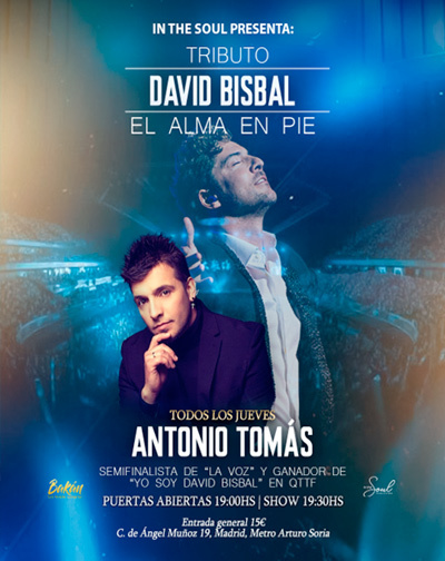 Cartel del espectáculo Tributo David Bisbal: El Alma En Pie