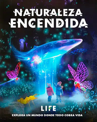 Cartel del espectáculo Naturaleza Encendida Premium