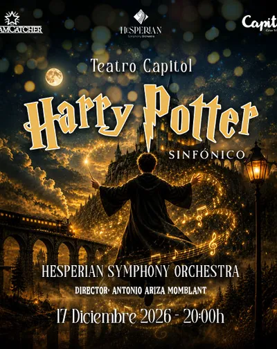 Cartel del espectáculo Harry Potter Sinfónico